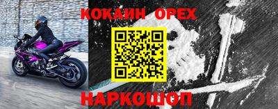 гашик Пыть-Ях