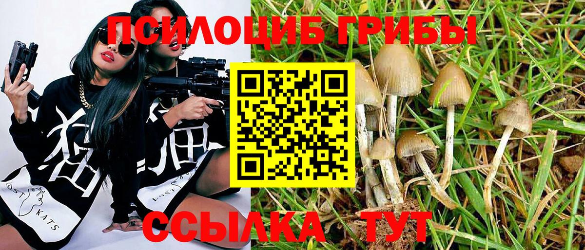 Псилоцибиновые грибы MAGIC MUSHROOMS  Псилоцибиновые грибы MAGIC MUSHROOMS  Ступино  Вход с VPN 